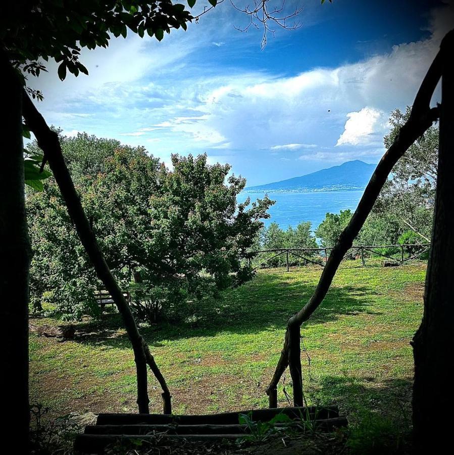 Habitat Eco Farm Hotel Sorrento Exterior foto